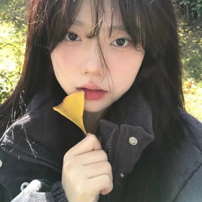 我把忠诚献给你